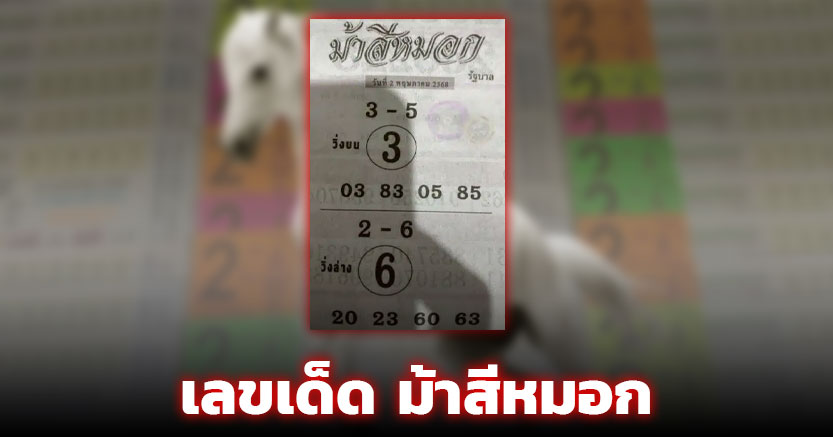 เลขเด็ด ม้าสีหมอก 16 พฤษภาคม 2568 อาชาสวรรค์ควบทรัพย์พลังมงคล