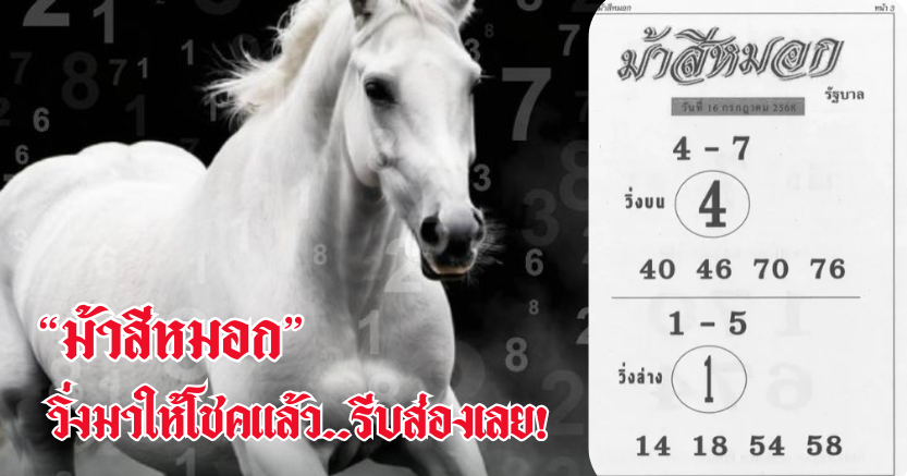 เลขเด็ด "ม้าสีหมอก" วิ่งมาให้โชคแล้ว..รีบส่องเลย!
